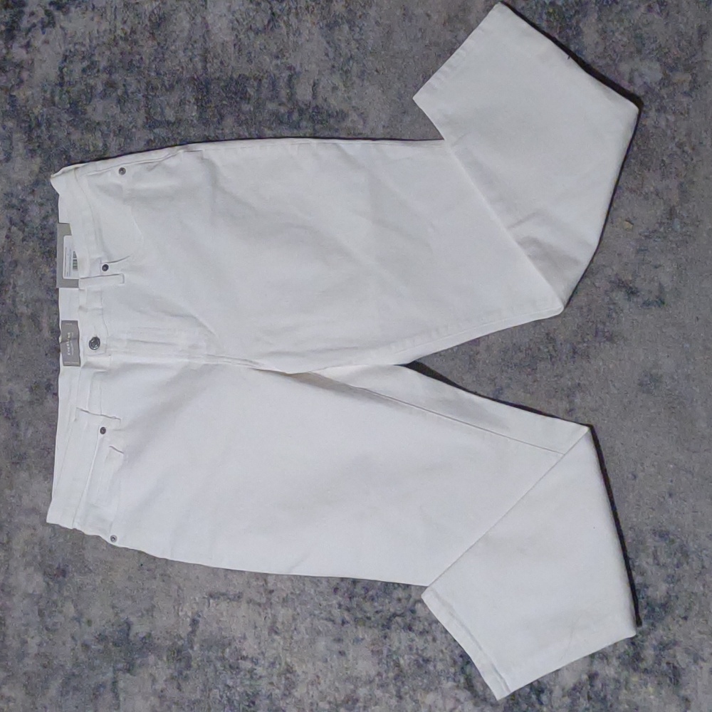 NWT Everlane | Authentic Stretch High Rise Skinny Jeans
